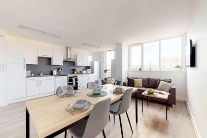 Stanza privata in residence in Globe Works, 20 Cliveland St, Birmingham B19 3SH, United Kingdom           , immagine 16 di 49