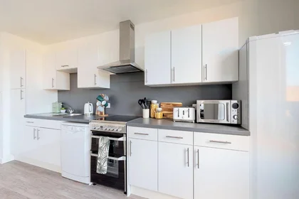 Stanza privata in residence in Globe Works, 20 Cliveland St, Birmingham B19 3SH, United Kingdom           , immagine 18 di 49