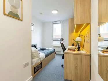 Stanza privata in residence in Globe Works, 20 Cliveland St, Birmingham B19 3SH, United Kingdom           , immagine 3 di 49