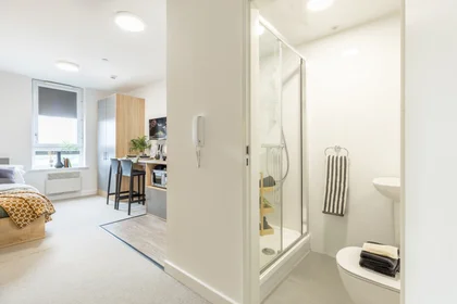 Stanza privata in residence in Globe Works, 20 Cliveland St, Birmingham B19 3SH, United Kingdom           , immagine 24 di 49