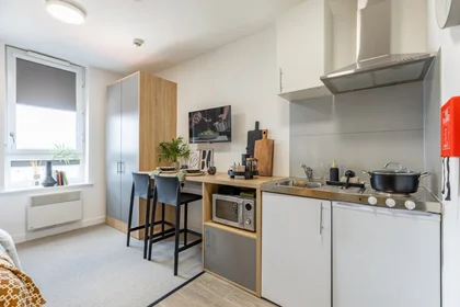 Stanza privata in residence in Globe Works, 20 Cliveland St, Birmingham B19 3SH, United Kingdom           , immagine 26 di 49