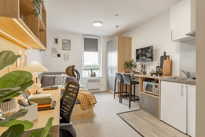 Stanza privata in residence in Globe Works, 20 Cliveland St, Birmingham B19 3SH, United Kingdom           , immagine 28 di 49