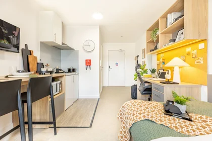 Stanza privata in residence in Globe Works, 20 Cliveland St, Birmingham B19 3SH, United Kingdom           , immagine 29 di 49