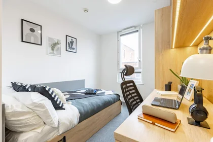 Stanza privata in residence in Globe Works, 20 Cliveland St, Birmingham B19 3SH, United Kingdom           , immagine 42 di 49