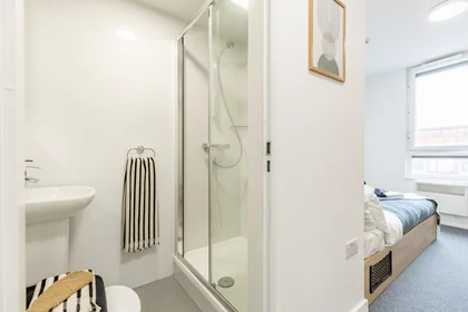 Stanza privata in residence in Globe Works, 20 Cliveland St, Birmingham B19 3SH, United Kingdom           , immagine 44 di 49