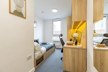 Stanza privata in residence in Globe Works, 20 Cliveland St, Birmingham B19 3SH, United Kingdom           , immagine 45 di 49