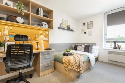 Stanza privata in residence in Globe Works, 20 Cliveland St, Birmingham B19 3SH, United Kingdom           , immagine 6 di 49