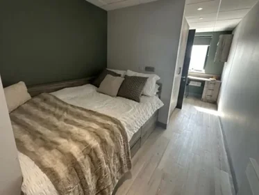 Prywatny pokój Kings Road, obraz 1 10