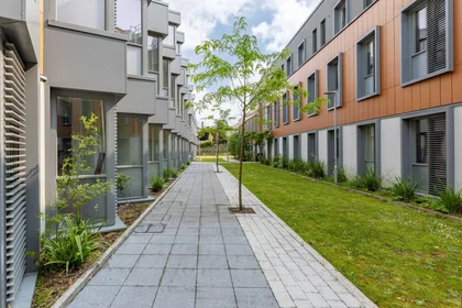 Estudio en Farranlea Road, imagen 19 de 49
