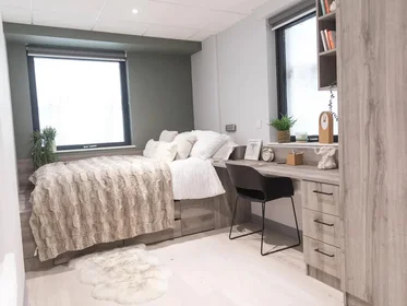 {area} içinde aydınlık özel oda