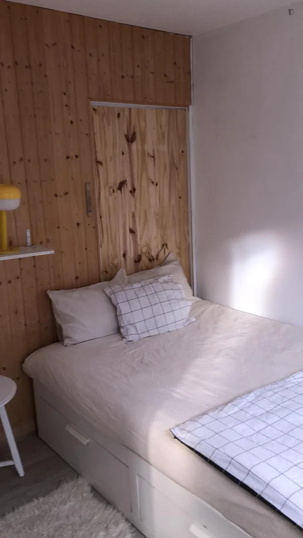 Affordable room for students with ample lighting in 