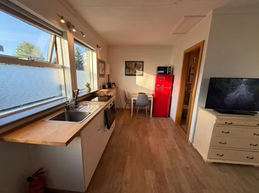Appartamento intero in Þingás, Árbær, immagine 1 di 10