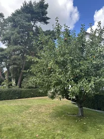 Chambre privée à Schulzendorfer Straße, Bezirk Reinickendorf, image 6 de 10