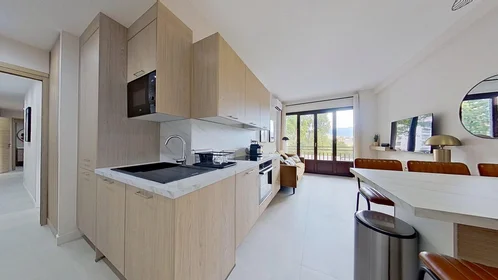 Habitación privada en 51 Boulevard de Cessole, imagen 11 de 15