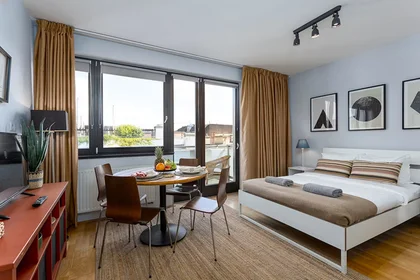Apartamento inteiro em Paulay Ede utca, imagem 11 de 17