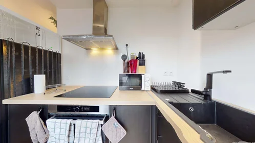 Stanza privata in 1 Rue René, 69100 Villeurbanne, France, immagine 14 di 19