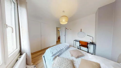 Stanza privata in 1 Rue René, 69100 Villeurbanne, France, immagine 4 di 19