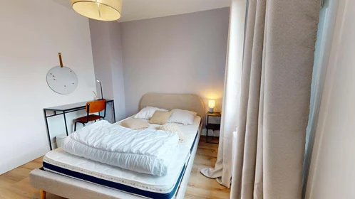 Stanza privata in 1 Rue René, 69100 Villeurbanne, France, immagine 5 di 19