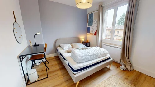 Stanza privata in 1 Rue René, 69100 Villeurbanne, France, immagine 6 di 19