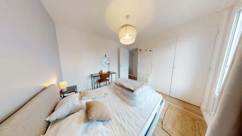 Stanza privata in 1 Rue René, 69100 Villeurbanne, France, immagine 7 di 19