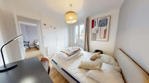 Stanza privata in 1 Rue René, 69100 Villeurbanne, France, immagine 4 di 16
