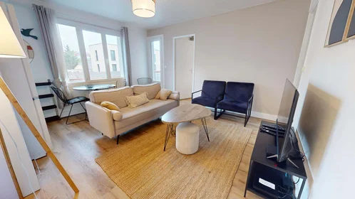 Stanza privata in 1 Rue René, 69100 Villeurbanne, France, immagine 1 di 10