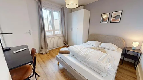 Stanza privata in 1 Rue René, 69100 Villeurbanne, France, immagine 2 di 17
