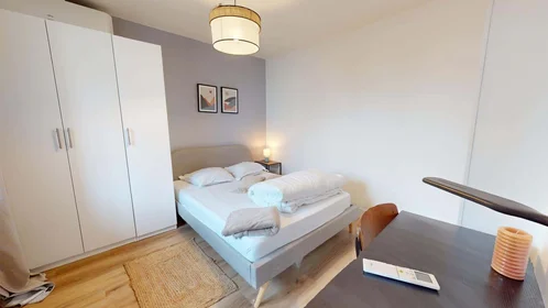 Stanza privata in 1 Rue René, 69100 Villeurbanne, France, immagine 4 di 17