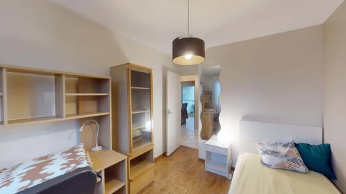 Chambre privée à 14 Rue Paul Helbronner, 38100 Grenoble, France, image 1 de 10