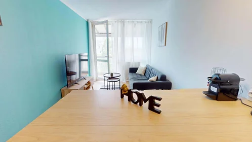 Privatzimmer in der 3 Rue Auguste Renoir, 33400 Talence, France, bild 17 von 19