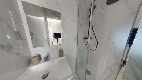 Privatzimmer in der 3 Rue Auguste Renoir, 33400 Talence, France, bild 4 von 19