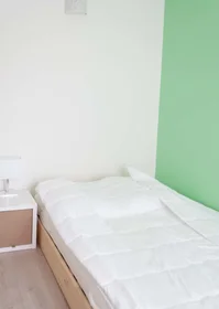 Quarto privado em 13 Rue Vincent Van Gogh, 31100 Toulouse, France, imagem 6 de 17
