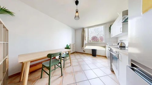 Privatzimmer in der 83 Rue Philippe Fabia, 69008 Lyon, France, bild 11 von 19