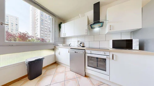 Privatzimmer in der 83 Rue Philippe Fabia, 69008 Lyon, France, bild 15 von 19
