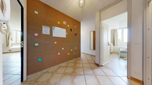 Privatzimmer in der 83 Rue Philippe Fabia, 69008 Lyon, France, bild 17 von 19