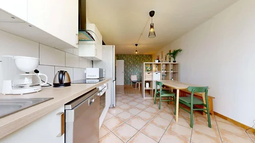 Privatzimmer in der 83 Rue Philippe Fabia, 69008 Lyon, France, bild 12 von 19