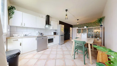 Privatzimmer in der 83 Rue Philippe Fabia, 69008 Lyon, France, bild 14 von 19