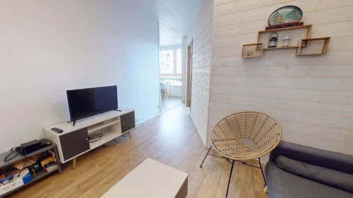 Privatzimmer in der 83 Rue Philippe Fabia, 69008 Lyon, France, bild 11 von 14