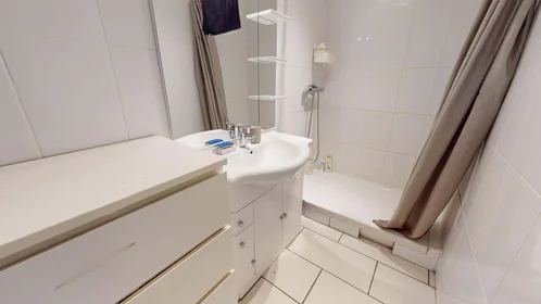 Privatzimmer in der 83 Rue Philippe Fabia, 69008 Lyon, France, bild 12 von 14