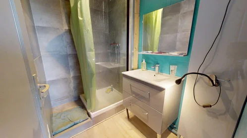 Privatzimmer in der 83 Rue Philippe Fabia, 69008 Lyon, France, bild 13 von 14