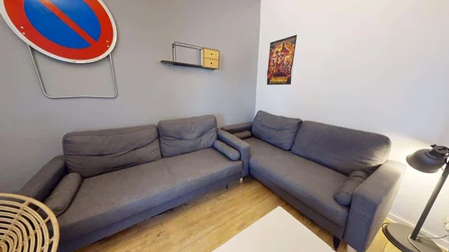 Privatzimmer in der 83 Rue Philippe Fabia, 69008 Lyon, France, bild 3 von 14