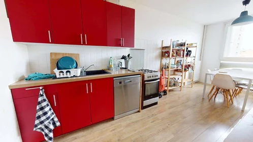 Privatzimmer in der 83 Rue Philippe Fabia, 69008 Lyon, France, bild 4 von 14