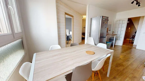 Privatzimmer in der 83 Rue Philippe Fabia, 69008 Lyon, France, bild 5 von 14