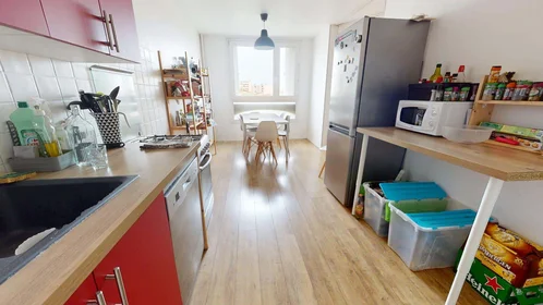 Privatzimmer in der 83 Rue Philippe Fabia, 69008 Lyon, France, bild 6 von 14