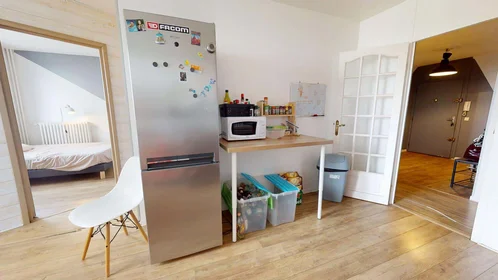 Privatzimmer in der 83 Rue Philippe Fabia, 69008 Lyon, France, bild 7 von 14
