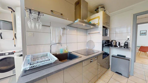 Quarto privado em 25 Rue de l'Industrie, 38170 Seyssinet-Pariset, France, imagem 11 de 20
