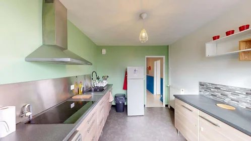 Prywatny pokój 2 Rue de Quizac, 29200 Brest, France, obraz 12 21