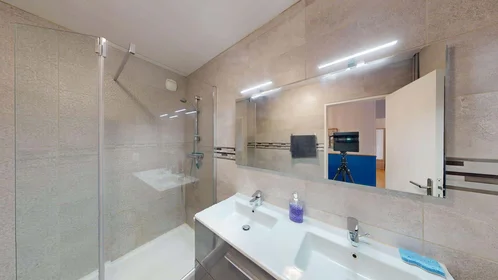Prywatny pokój 2 Rue de Quizac, 29200 Brest, France, obraz 20 21