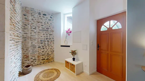 Prywatny pokój 1 Rue Manescau, 64000 Pau, France, obraz 14 21