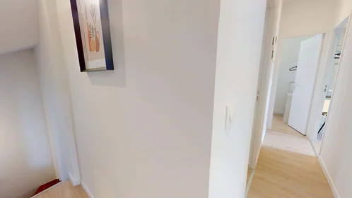Prywatny pokój 1 Rue Manescau, 64000 Pau, France, obraz 17 21